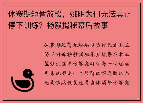 休赛期短暂放松，姚明为何无法真正停下训练？杨毅揭秘幕后故事